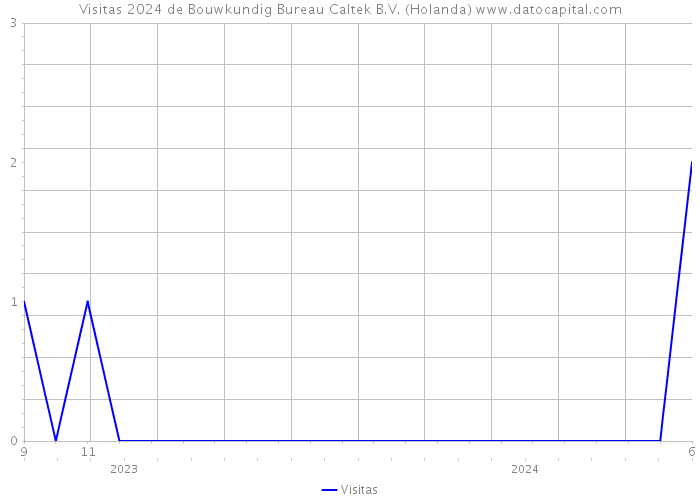 Visitas 2024 de Bouwkundig Bureau Caltek B.V. (Holanda) 