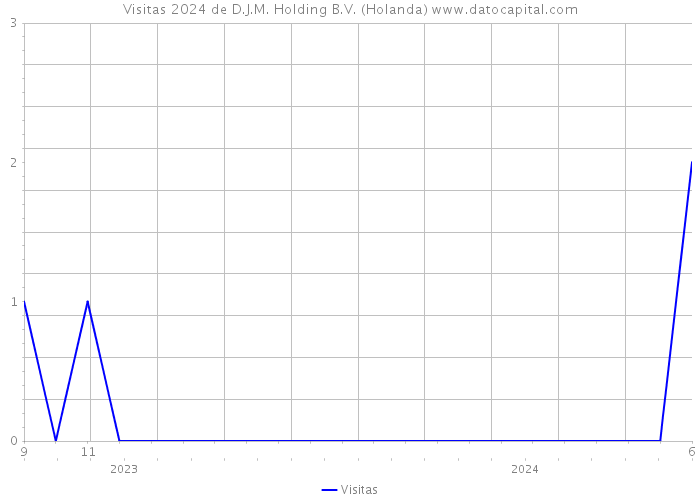 Visitas 2024 de D.J.M. Holding B.V. (Holanda) 