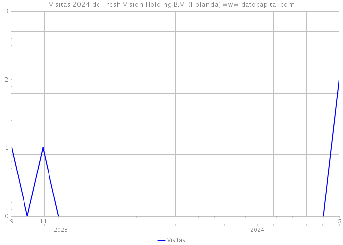 Visitas 2024 de Fresh Vision Holding B.V. (Holanda) 