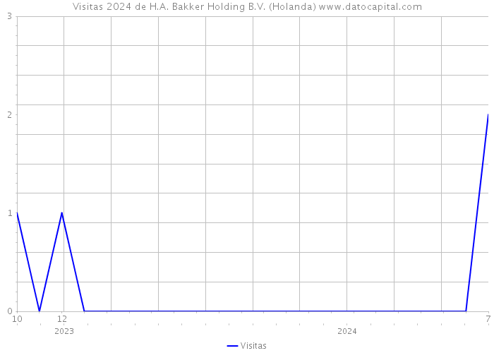 Visitas 2024 de H.A. Bakker Holding B.V. (Holanda) 