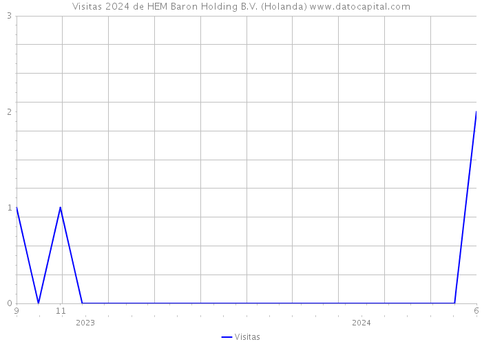 Visitas 2024 de HEM Baron Holding B.V. (Holanda) 
