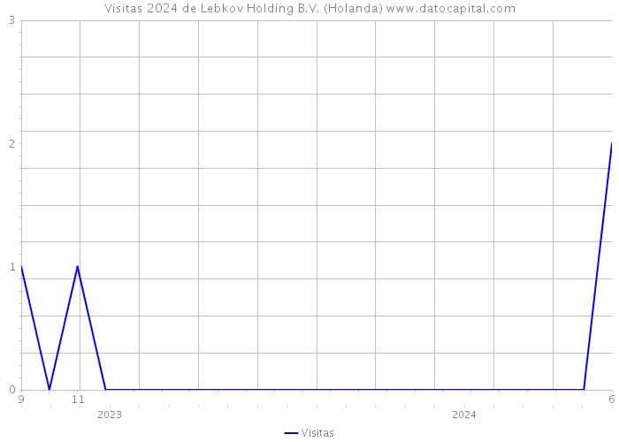 Visitas 2024 de Lebkov Holding B.V. (Holanda) 