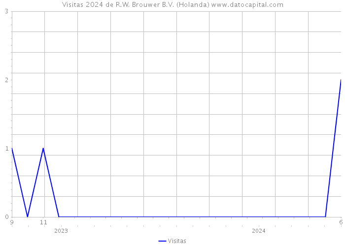 Visitas 2024 de R.W. Brouwer B.V. (Holanda) 