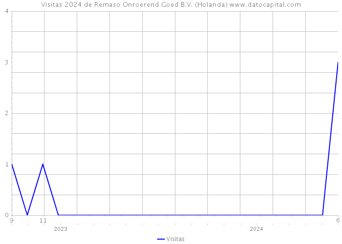 Visitas 2024 de Remaso Onroerend Goed B.V. (Holanda) 