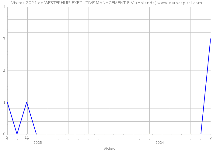 Visitas 2024 de WESTERHUIS EXECUTIVE MANAGEMENT B.V. (Holanda) 