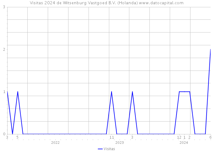Visitas 2024 de Witsenburg Vastgoed B.V. (Holanda) 
