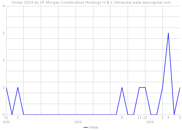 Visitas 2024 de J.P. Morgan Commodities Holdings IV B.V. (Holanda) 