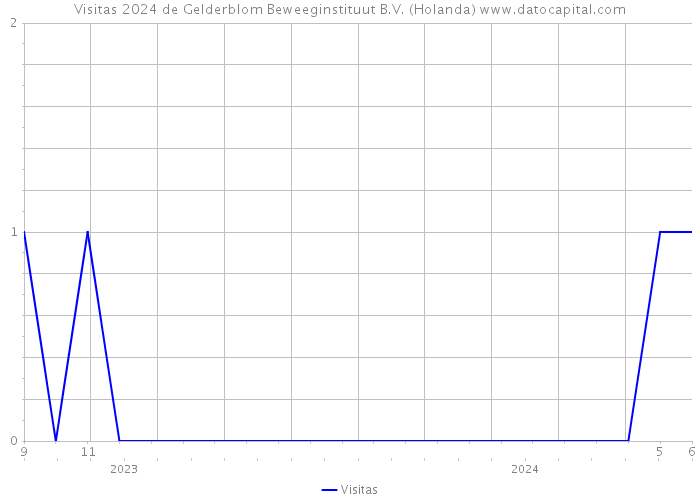 Visitas 2024 de Gelderblom Beweeginstituut B.V. (Holanda) 