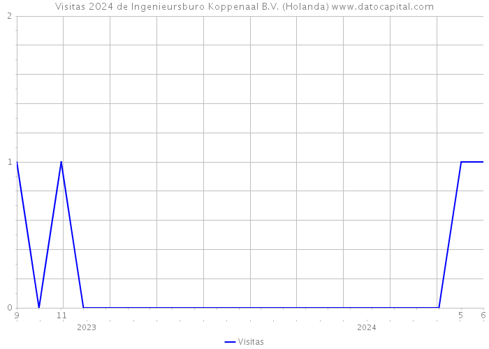 Visitas 2024 de Ingenieursburo Koppenaal B.V. (Holanda) 