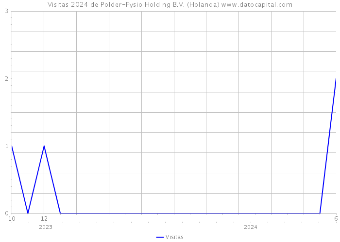 Visitas 2024 de Polder-Fysio Holding B.V. (Holanda) 