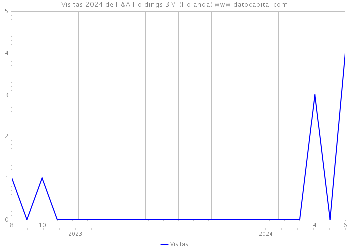 Visitas 2024 de H&A Holdings B.V. (Holanda) 