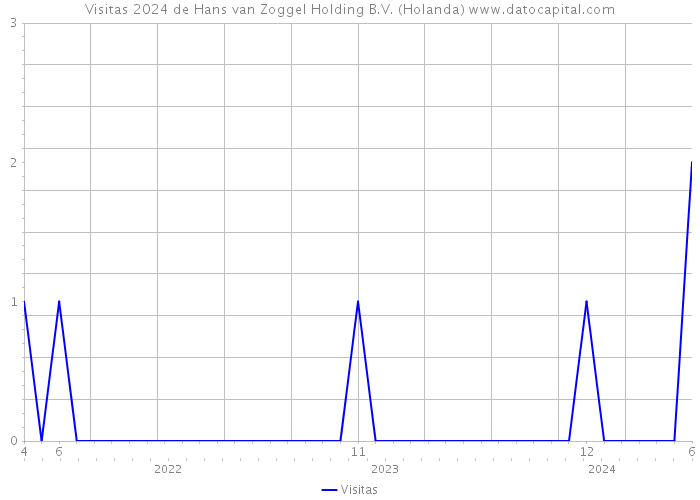 Visitas 2024 de Hans van Zoggel Holding B.V. (Holanda) 