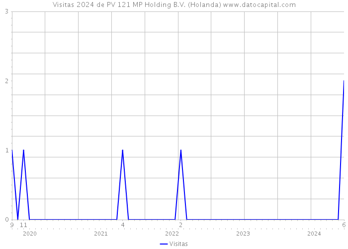 Visitas 2024 de PV 121 MP Holding B.V. (Holanda) 