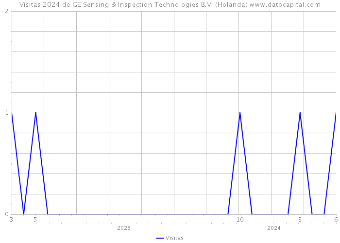 Visitas 2024 de GE Sensing & Inspection Technologies B.V. (Holanda) 