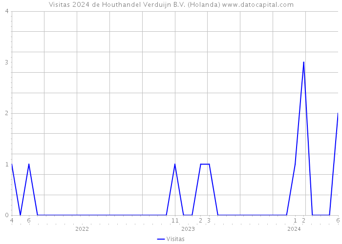 Visitas 2024 de Houthandel Verduijn B.V. (Holanda) 