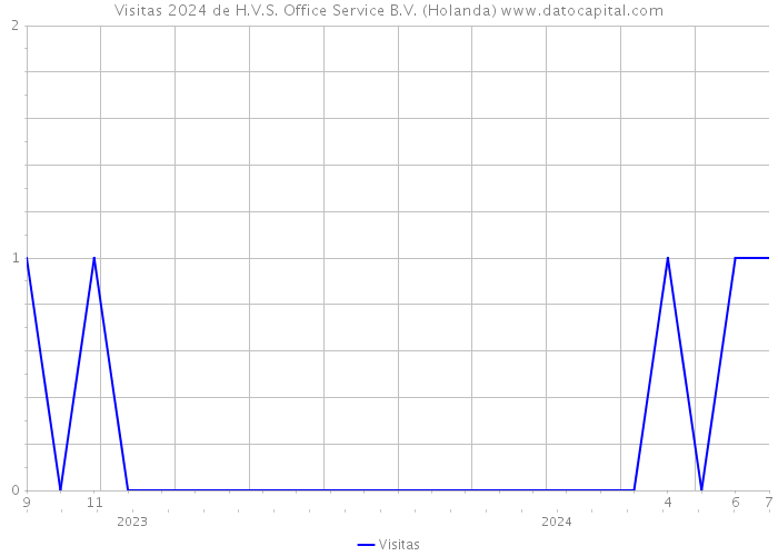 Visitas 2024 de H.V.S. Office Service B.V. (Holanda) 