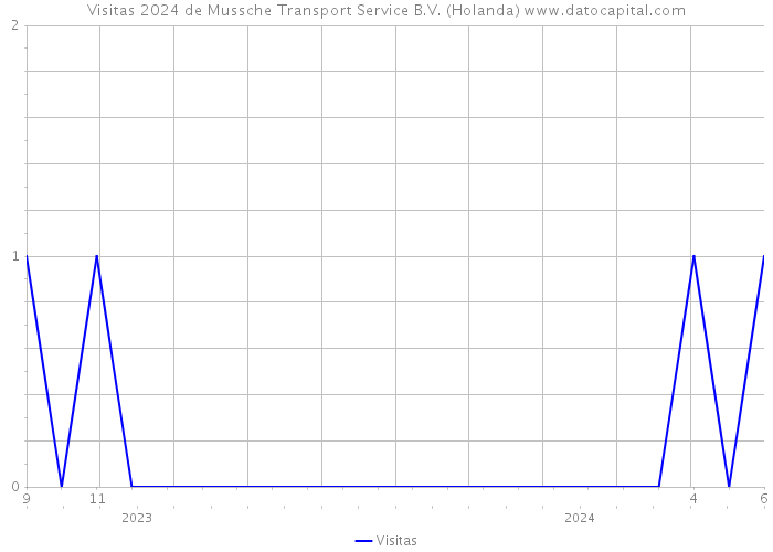 Visitas 2024 de Mussche Transport Service B.V. (Holanda) 