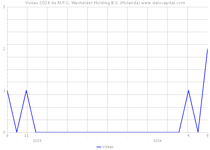 Visitas 2024 de M.P.G. Wachelder Holding B.V. (Holanda) 