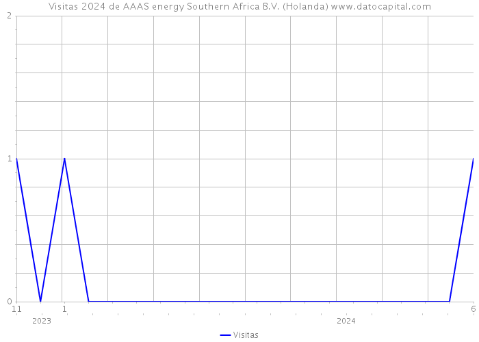 Visitas 2024 de AAAS energy Southern Africa B.V. (Holanda) 