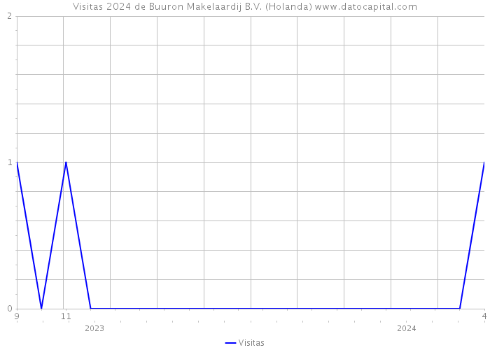 Visitas 2024 de Buuron Makelaardij B.V. (Holanda) 