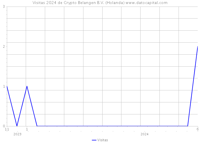 Visitas 2024 de Crypto Belangen B.V. (Holanda) 