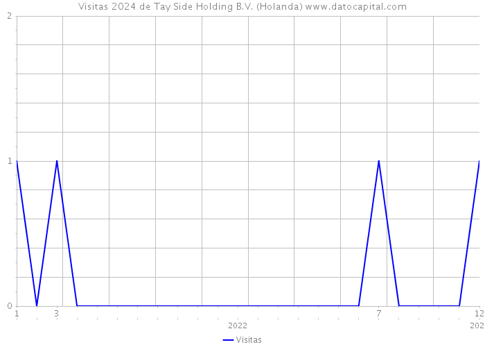 Visitas 2024 de Tay Side Holding B.V. (Holanda) 