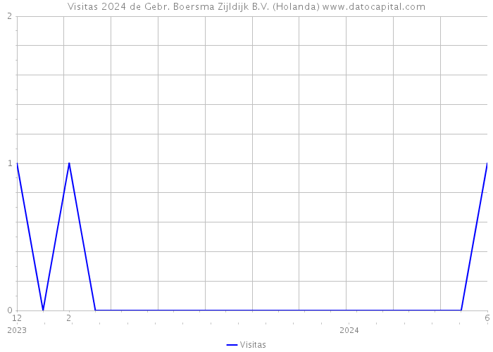 Visitas 2024 de Gebr. Boersma Zijldijk B.V. (Holanda) 