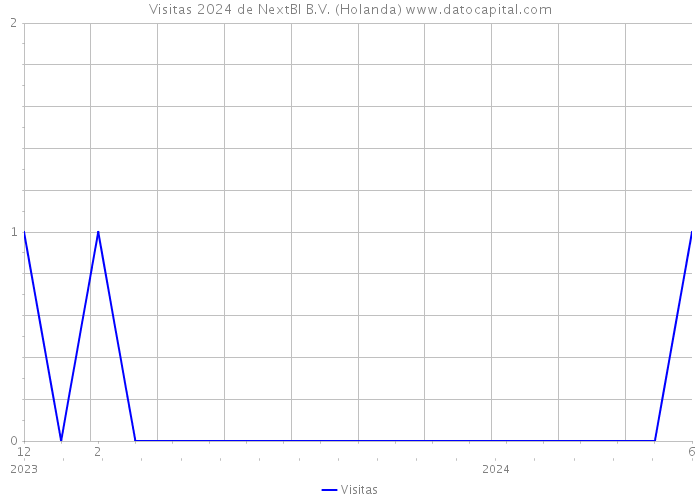 Visitas 2024 de NextBI B.V. (Holanda) 