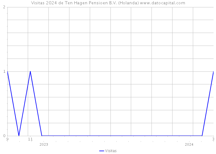 Visitas 2024 de Ten Hagen Pensioen B.V. (Holanda) 