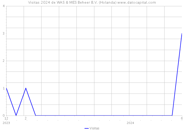 Visitas 2024 de WAS & MES Beheer B.V. (Holanda) 