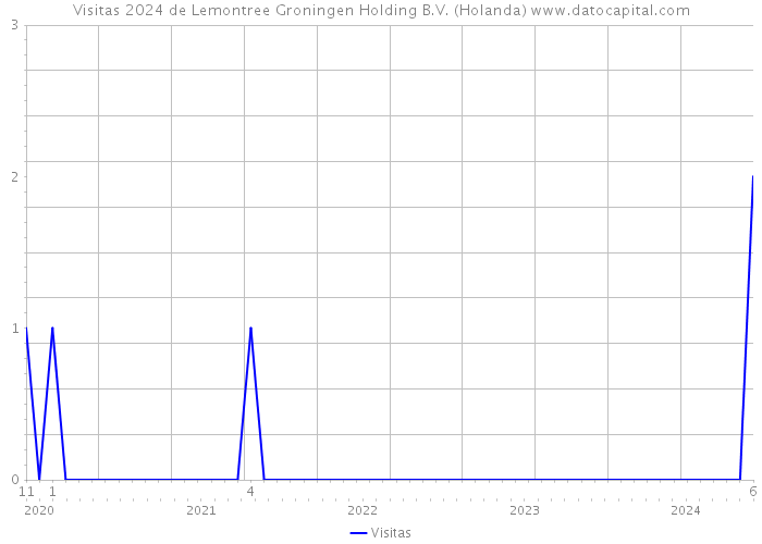 Visitas 2024 de Lemontree Groningen Holding B.V. (Holanda) 