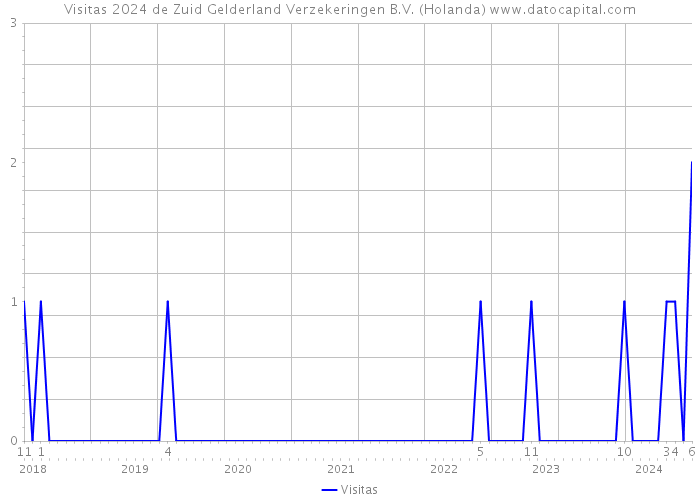 Visitas 2024 de Zuid Gelderland Verzekeringen B.V. (Holanda) 