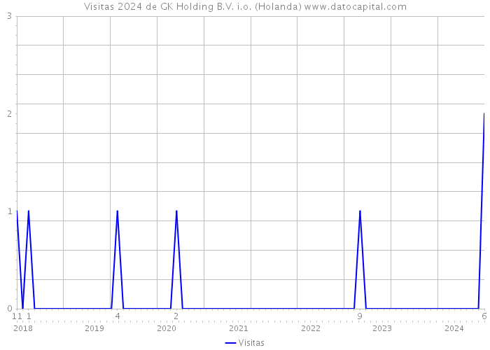 Visitas 2024 de GK Holding B.V. i.o. (Holanda) 