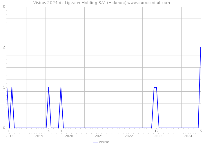 Visitas 2024 de Ligtvoet Holding B.V. (Holanda) 