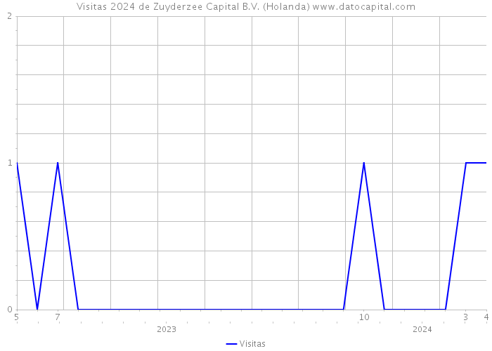 Visitas 2024 de Zuyderzee Capital B.V. (Holanda) 