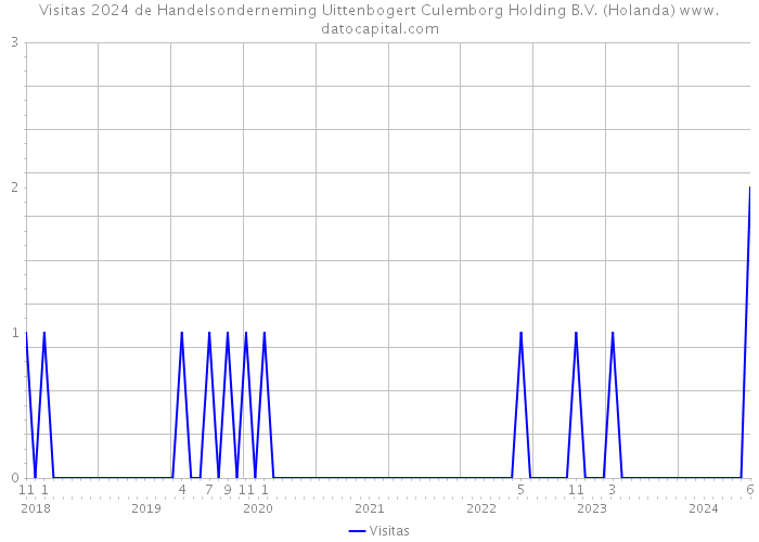 Visitas 2024 de Handelsonderneming Uittenbogert Culemborg Holding B.V. (Holanda) 