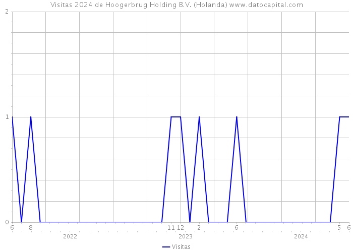 Visitas 2024 de Hoogerbrug Holding B.V. (Holanda) 