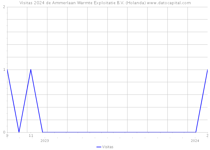 Visitas 2024 de Ammerlaan Warmte Exploitatie B.V. (Holanda) 