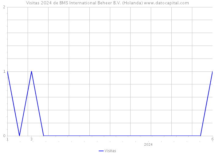 Visitas 2024 de BMS International Beheer B.V. (Holanda) 