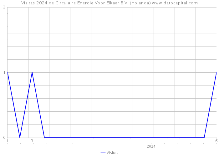 Visitas 2024 de Circulaire Energie Voor Elkaar B.V. (Holanda) 