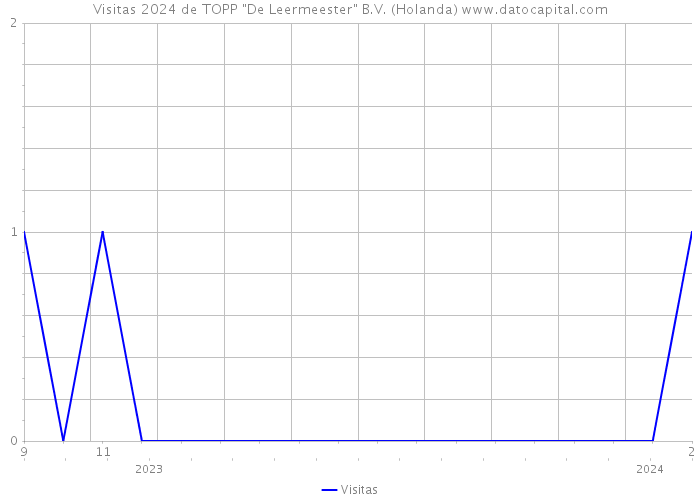 Visitas 2024 de TOPP 