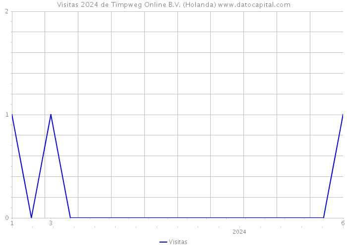 Visitas 2024 de Timpweg Online B.V. (Holanda) 