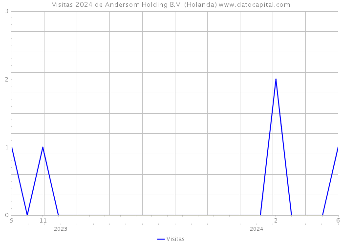 Visitas 2024 de Andersom Holding B.V. (Holanda) 