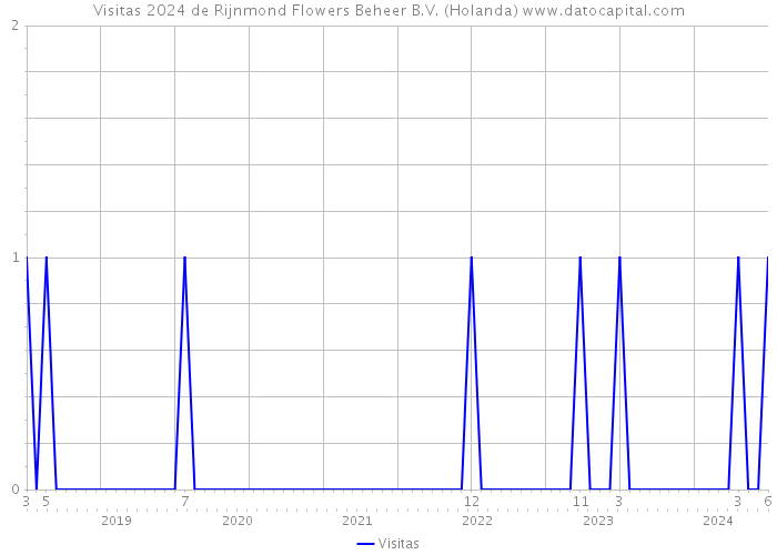 Visitas 2024 de Rijnmond Flowers Beheer B.V. (Holanda) 