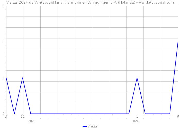 Visitas 2024 de Ventevogel Financieringen en Beleggingen B.V. (Holanda) 