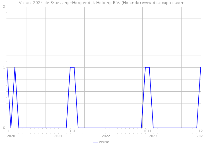 Visitas 2024 de Bruessing-Hoogendijk Holding B.V. (Holanda) 
