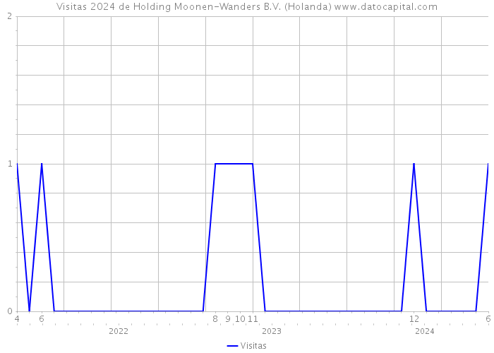 Visitas 2024 de Holding Moonen-Wanders B.V. (Holanda) 