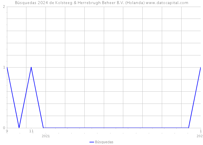 Búsquedas 2024 de Kolsteeg & Herrebrugh Beheer B.V. (Holanda) 