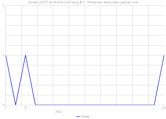 Visitas 2024 de Hobers Holding B.V. (Holanda) 