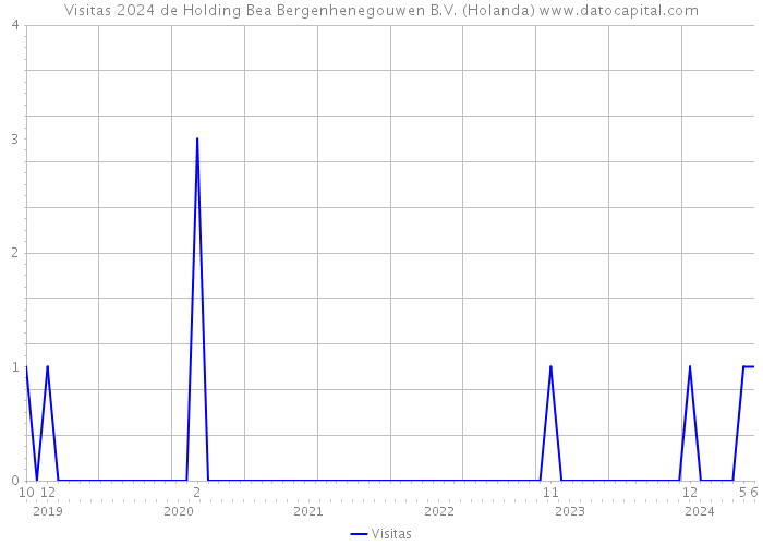Visitas 2024 de Holding Bea Bergenhenegouwen B.V. (Holanda) 